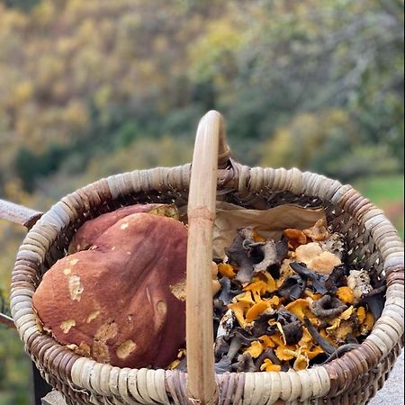 Domaine Le Verdier Saint-Michel-de-Dèze Buitenkant foto