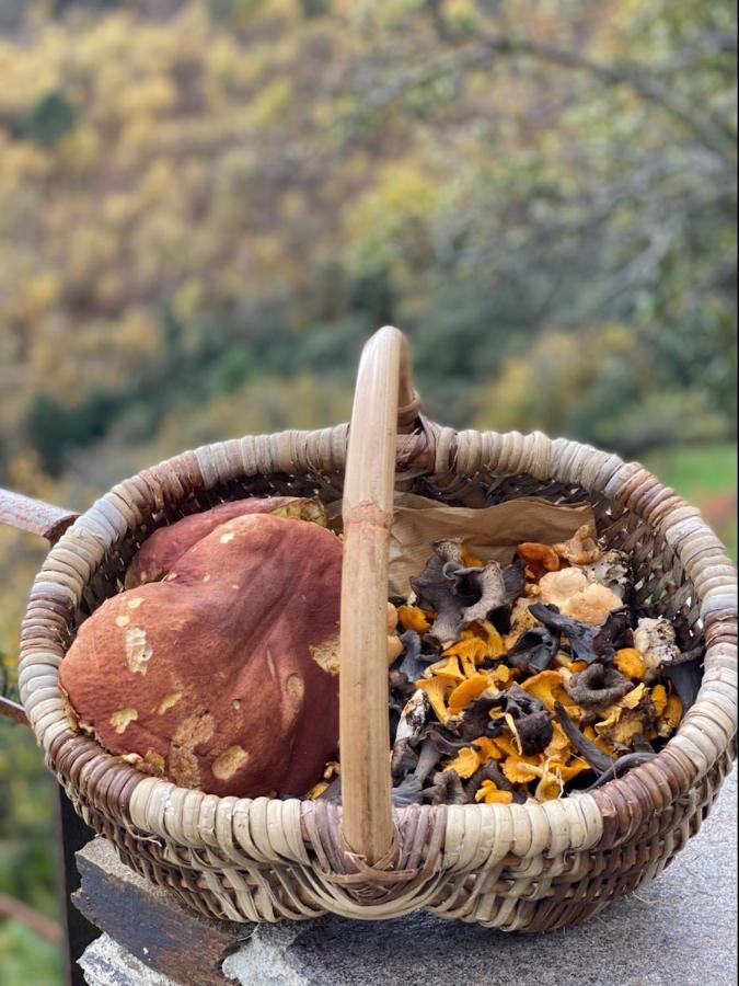 Domaine Le Verdier Saint-Michel-de-Dèze Buitenkant foto